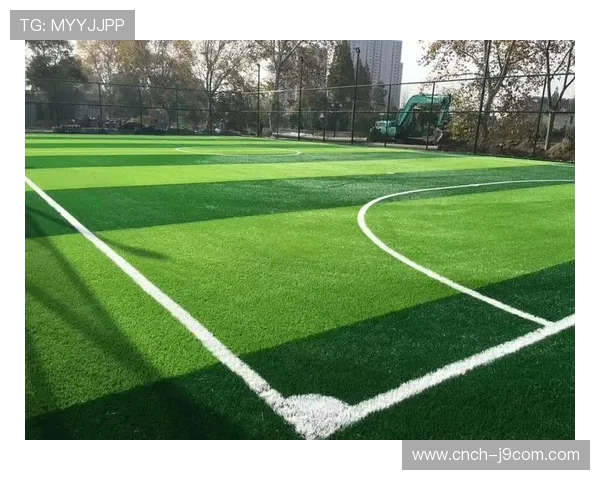 全面解析现代人造草足球场结构特点与使用维护实务要点操作指南